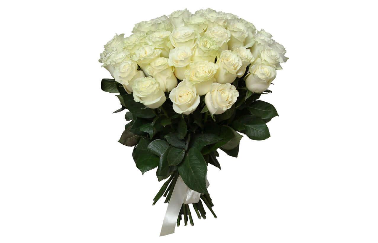 Weiße Rosen Bouquet mit frischen weißen Rosen aus Ecuador, kunstvoll gebunden für einzigartige Arrangements.