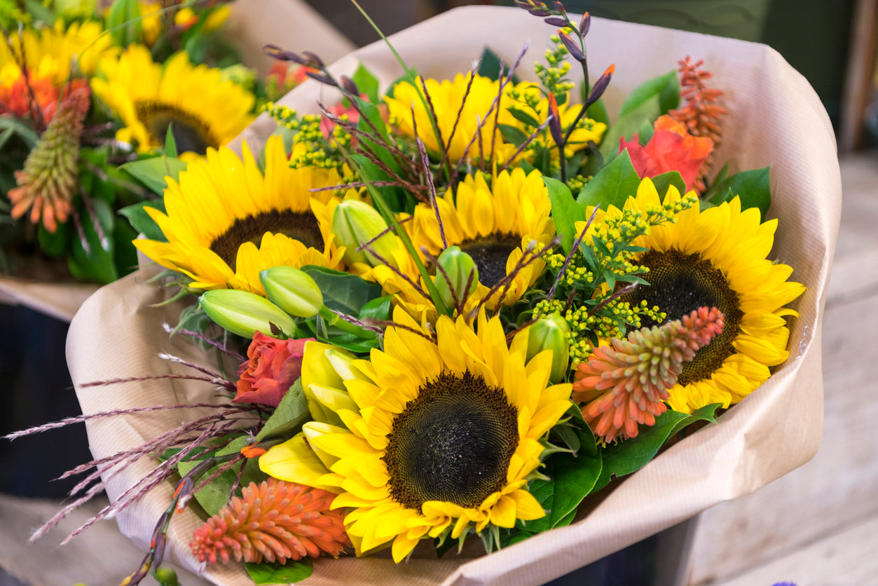 Strauß "Love Sunshine"