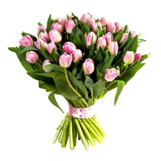 Tulpenstrauß rosa/pink