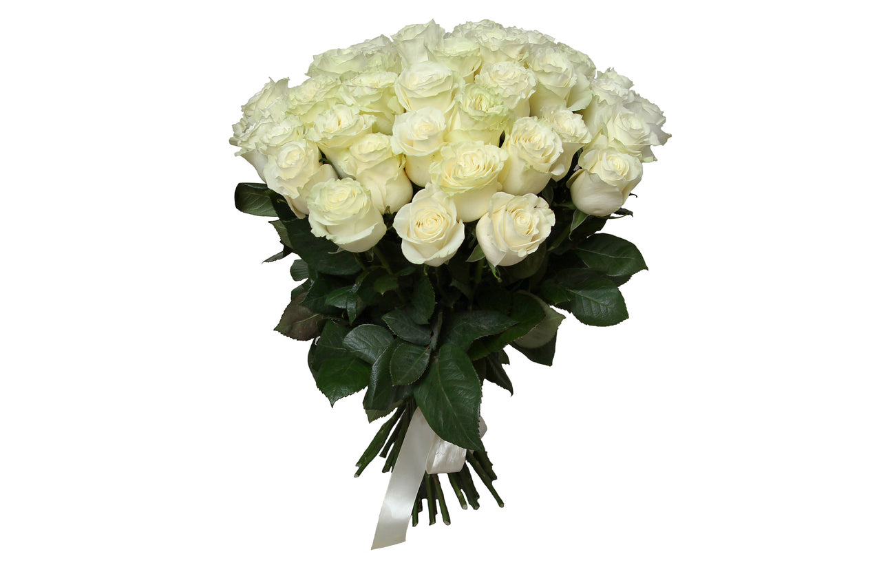 Weiße Rosen