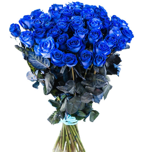 Rosen  "Baby Blue"